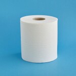 popieriaus rulonas maxi 110m 2 sluoksnių celiuliozės plotis 19cm fi 19cm minkštas