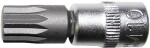 1/4" griebtuvas 12 taškų trumpas xzn m12 triumfas