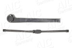 AIC 57596