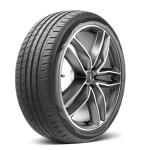 Lengvojo automobilio / visureigio vasarinė padanga 195/55r16 91v XL „Radar Dimax Touring“
